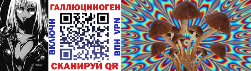 Галлюциногенные грибы Psilocybine cubensis  OMG ТОР  Туймазы 