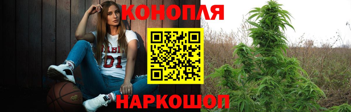 Бошки марихуана семена Туймазы